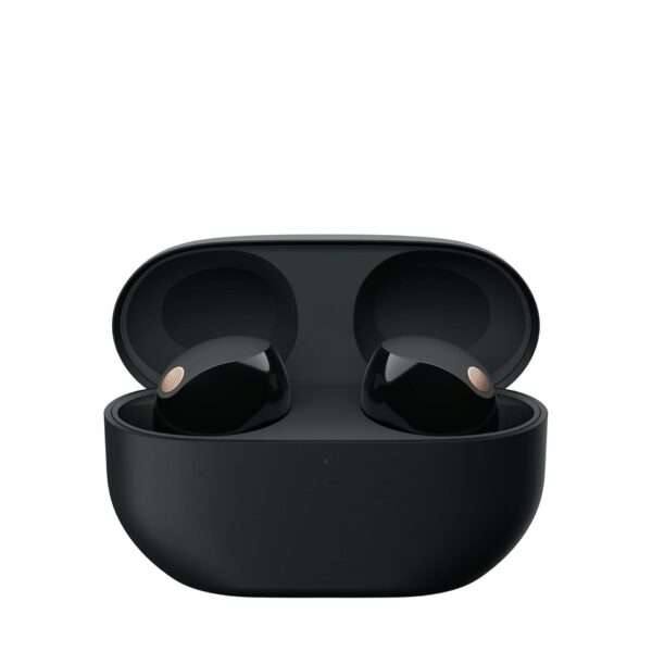 Sony Noise Cancelling True Wireless Bluetooth Earbuds WF-1000XM5